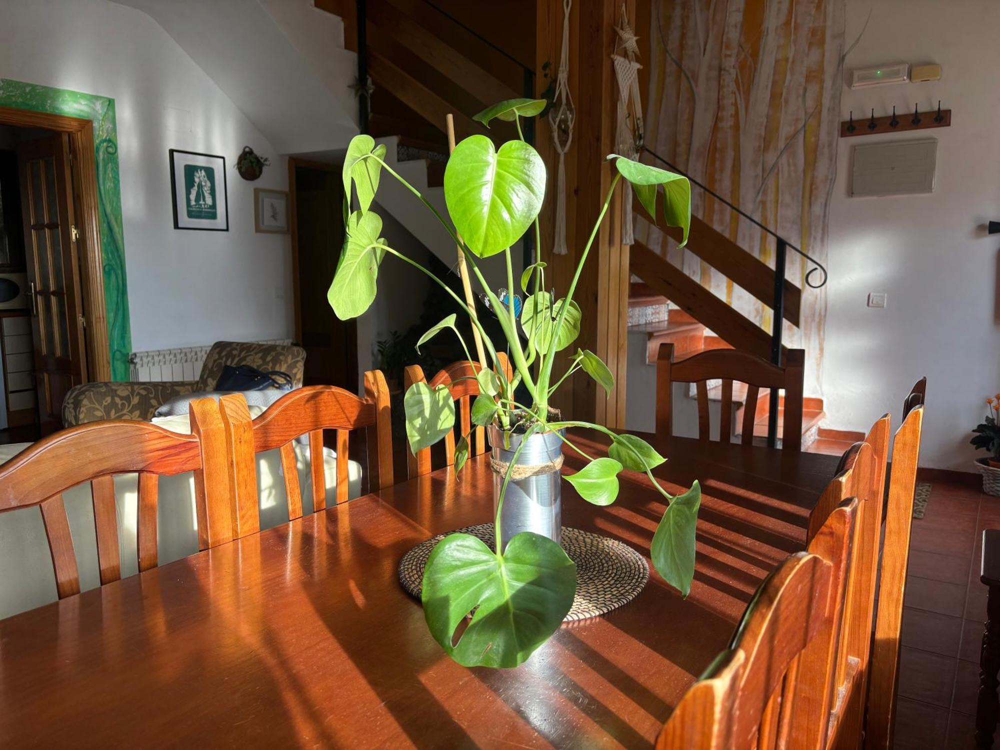 Holiday home Espejo Del Tietar